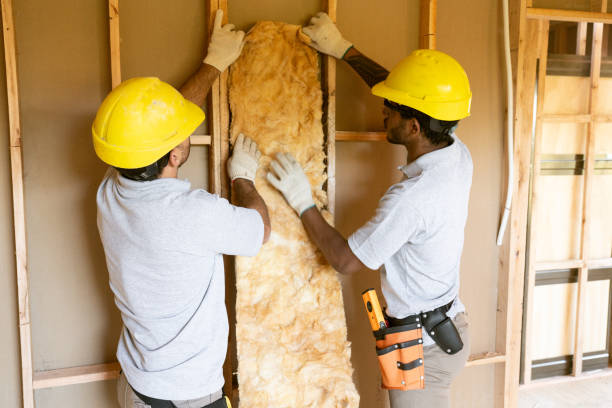 Best Attic Insulation Installation  in Sturgis, MI