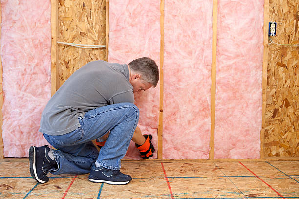 Best Attic Insulation Installation  in Sturgis, MI